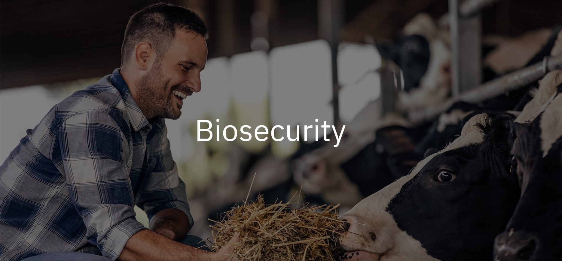 biosecurity min